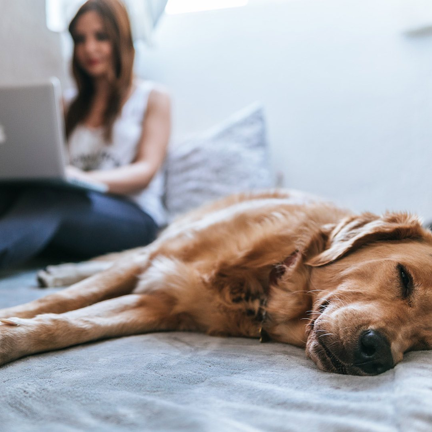 #ThatJustRightFeeling