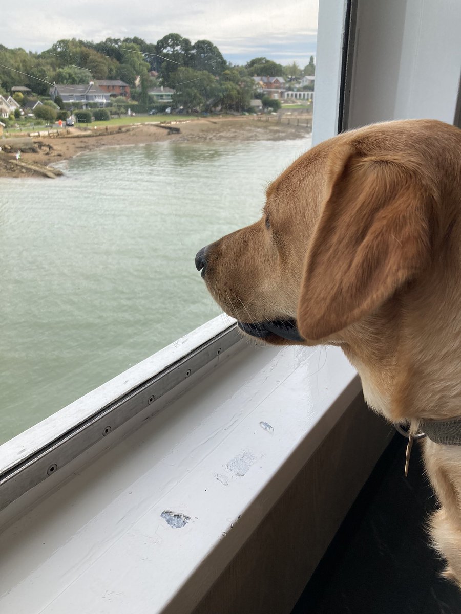 First trip on <a href="/wightlinkferry/">Wightlink Ferries</a>