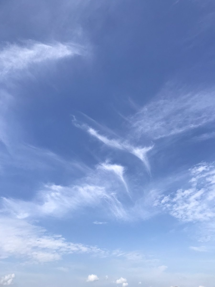 quetsideoutt's tweet photo. Nubes altas Ci con algunos Cc, nubes medias As y en la última imagen me parece ver el efecto Foehn con nubes bajas Cu. 3/8 Octas
A las 10 de la mañana en Temixco, Morelos. 
ayer siempre si llovió 🤓 https://t.co/6YEOG1s6p8