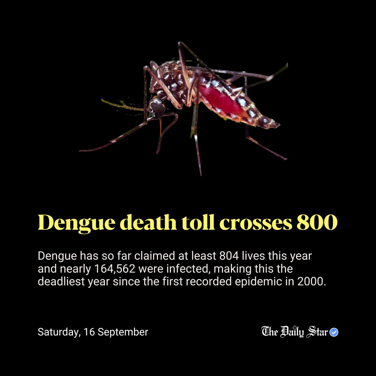 dailystarnews's tweet photo. Dengue has so far claimed at least 804 lives this year and nearly 164,562 were infected, making this the deadliest year since the first recorded epidemic in 2000.

Read more: https://t.co/Hej2DuGViq
#Health #Dengue #Death https://t.co/WZW1wnrQPr