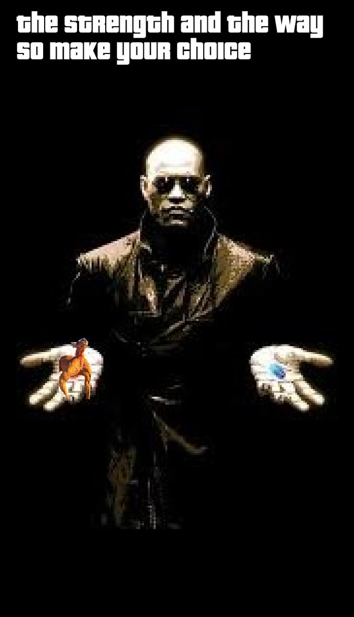 ROGER TOKEN tweet media