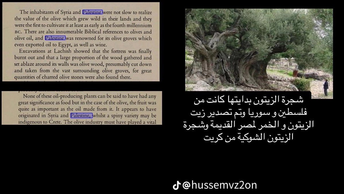 z_uxel's tweet photo. @canaan_fala7i @Lr3Bx المعلومات هاي كفيله بأسكاتهم ، فلسطين هي ارض الزيتون https://t.co/cwkACKbIIP