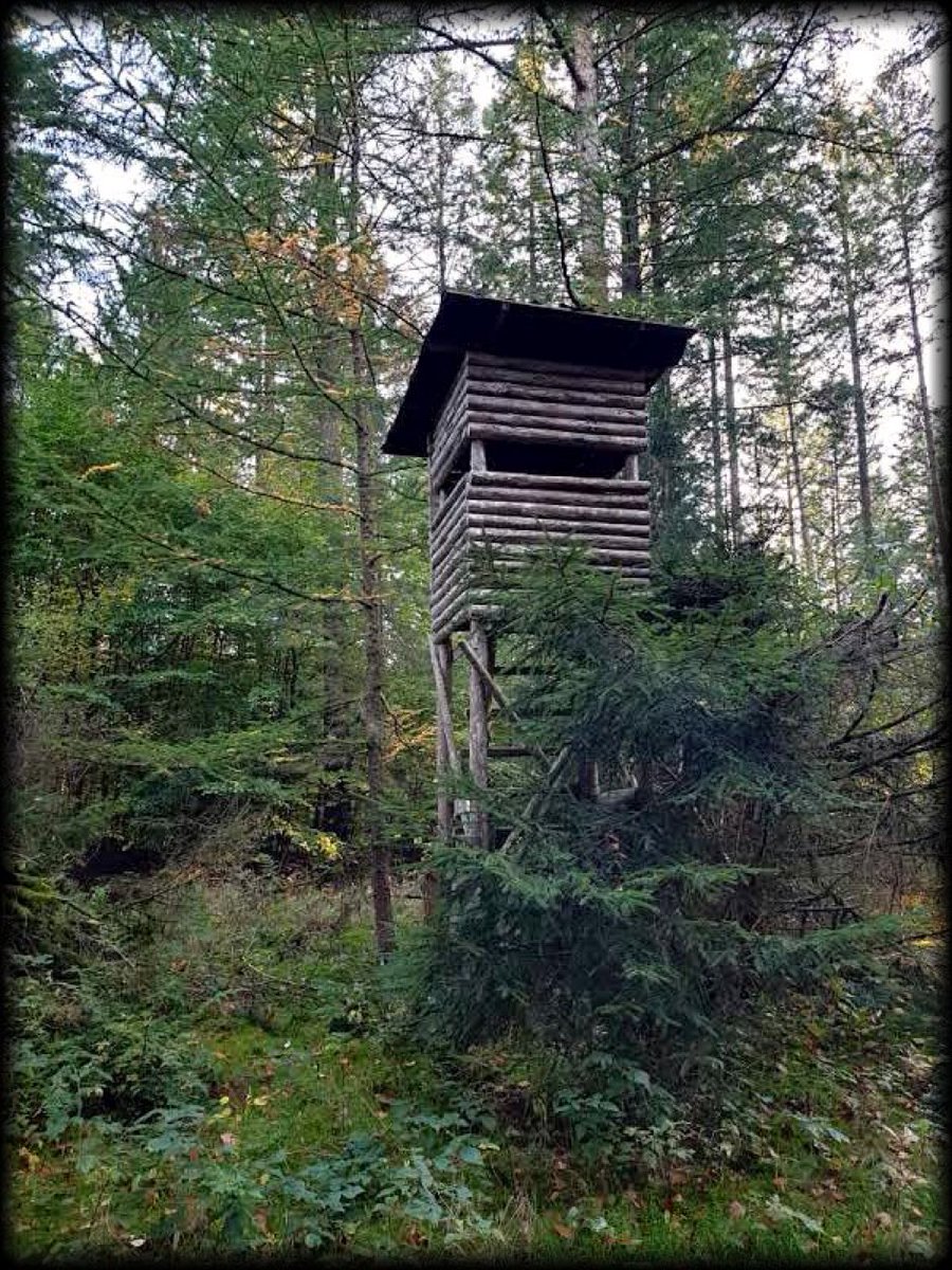 fb_provGLD's tweet image. Zo zien de zwijnen en herten je niet , zit je lekker droog en kun je ze makkelijk afschieten op de voerweide 📯#hoogzit #hochsitz #DagvandeJager