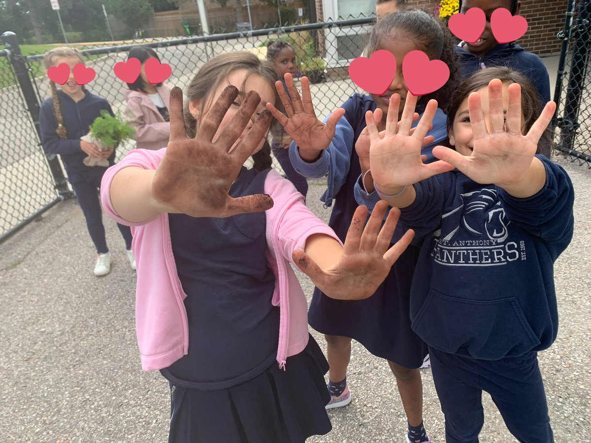 SAY_YCDSB tweet media