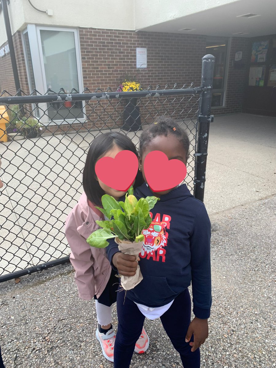 SAY_YCDSB tweet media