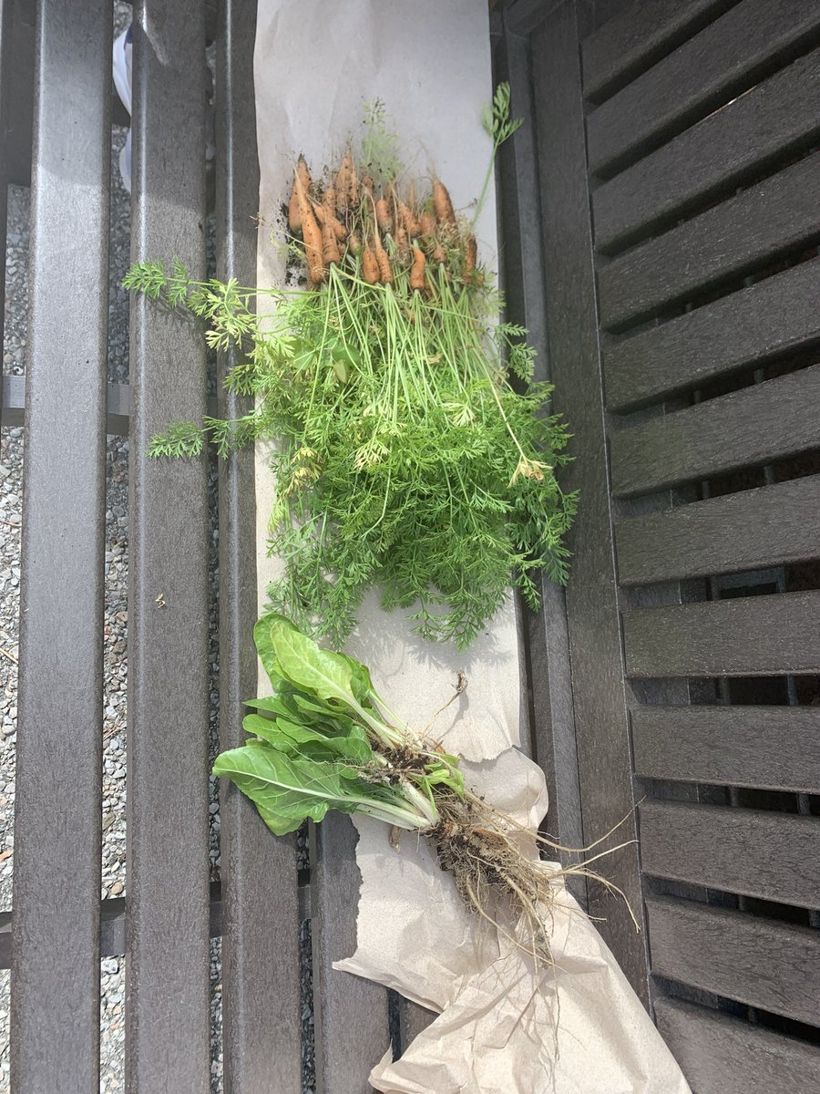 SAY_YCDSB tweet media