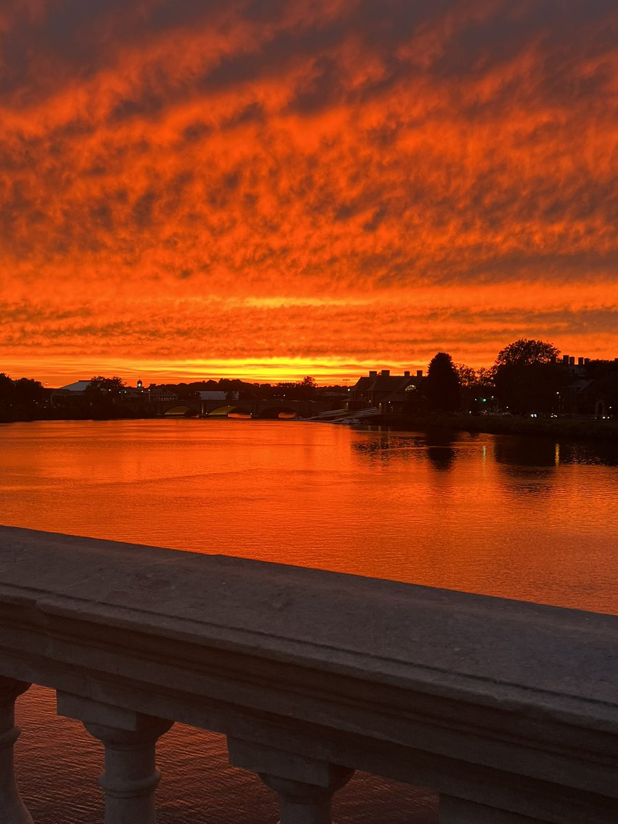 Mayron Piccolo tweet media