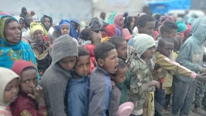 SuleimanAbdell7's tweet photo. Stop #Amharaconcentrationcamps from spreading! 

Fascism is history in Europe, it thrives on in #Ethiopia.
Apartheid is history in South Africa, it lingers on in Ethiopia.
The #Amhara people are facing both under Fascist Abiy regime.

@MikeHammerUSA
@amnesty
@UNHumanRights
#AmharaGenocide
@UN @antonioguterres