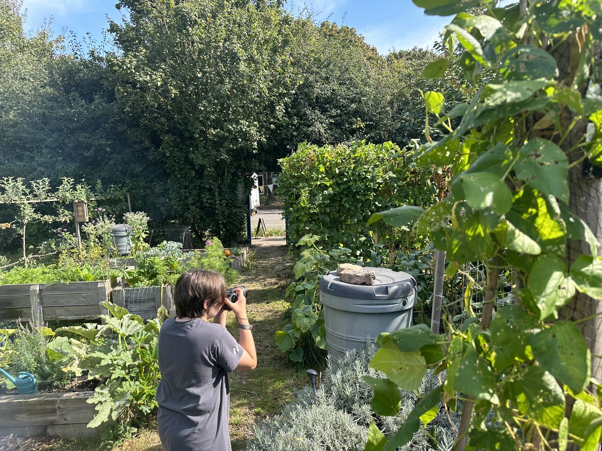 What a fantastic #urbanharvest today! Lots of new visitors fascinated to see this beautiful green space in an urban jungle. Quiche, cake, veg harvesting, #wildlifephotography