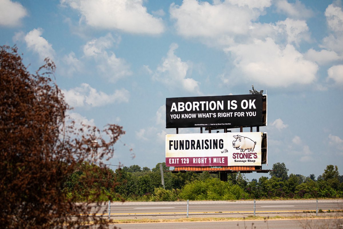 ameliabonow's tweet image. Interstate 55 carries 10s of thousands of abortion seekers out of southern states to Illinois, where abortion is legal. I-55 is covered with horrific, shaming billboards. @ShoutYrAbortion put up 6 good ones, to show love &amp;amp; affirmation to those making the journey.