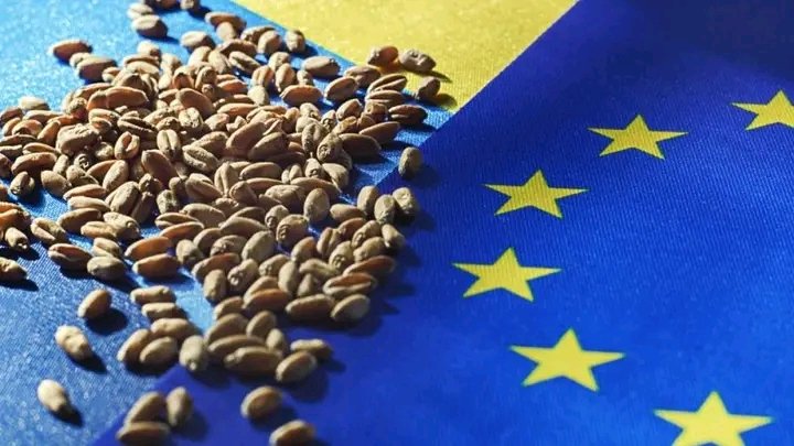 The European Commission has not extended the embargo on the import of Ukrainian grain.' 🌾🇺🇦 #GrainTrade #UkraineRussiaWar️️ #UkraineWar #Ukraine #Verbove #Novoprokopivka #Robotyne #Tokmak #Andriivka #Kurdjumivka #Russian #Opytne #Bakhmut #Ukrainian #Zaporizhia #OSINT