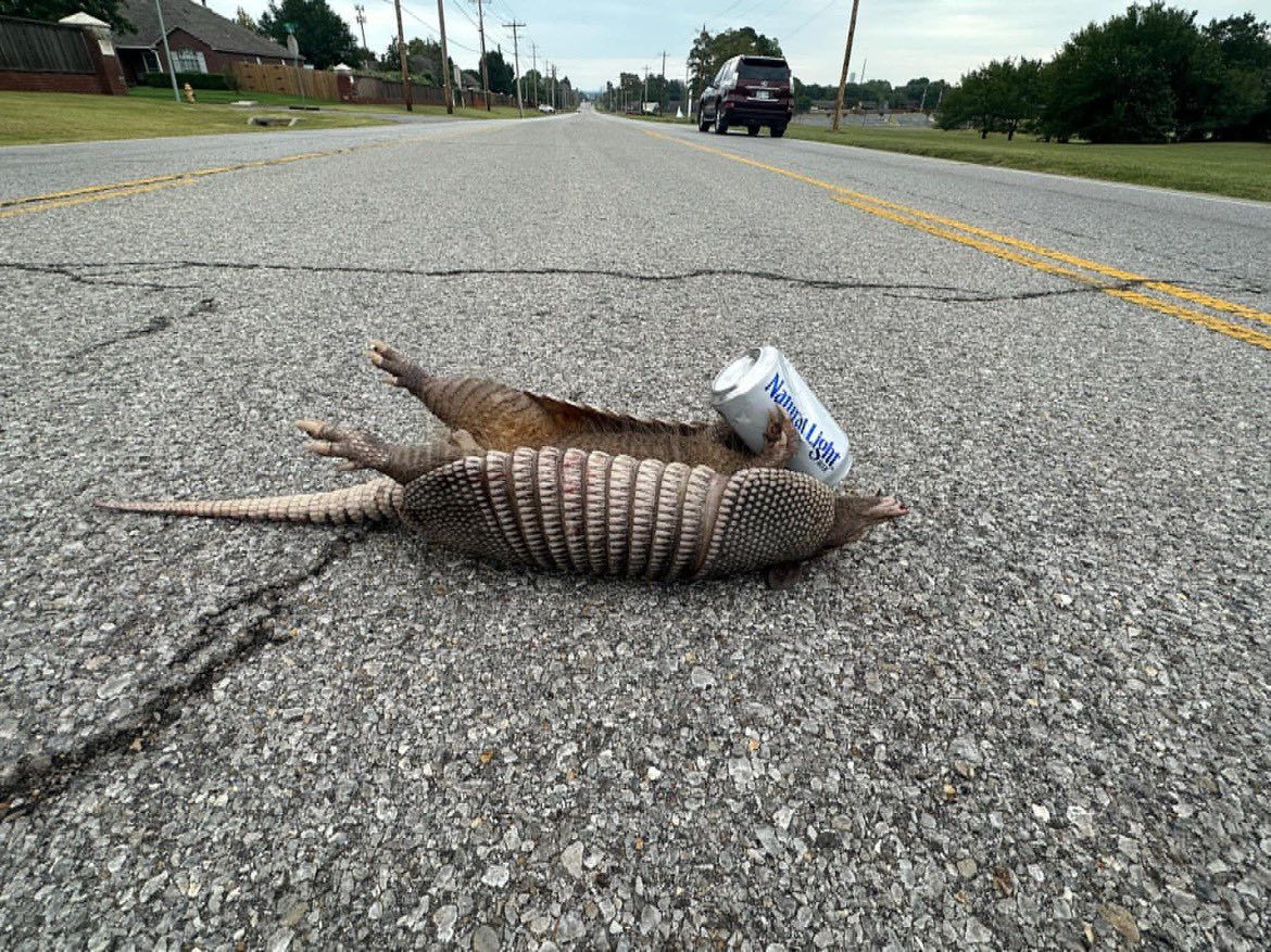 Hey <a href="/NewsOn6/">News On 6</a>… developing story in Jenks on elm st and 121st 🤣