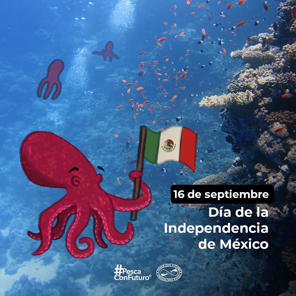 ¡Felices fiestas patrias! #pulpomaya