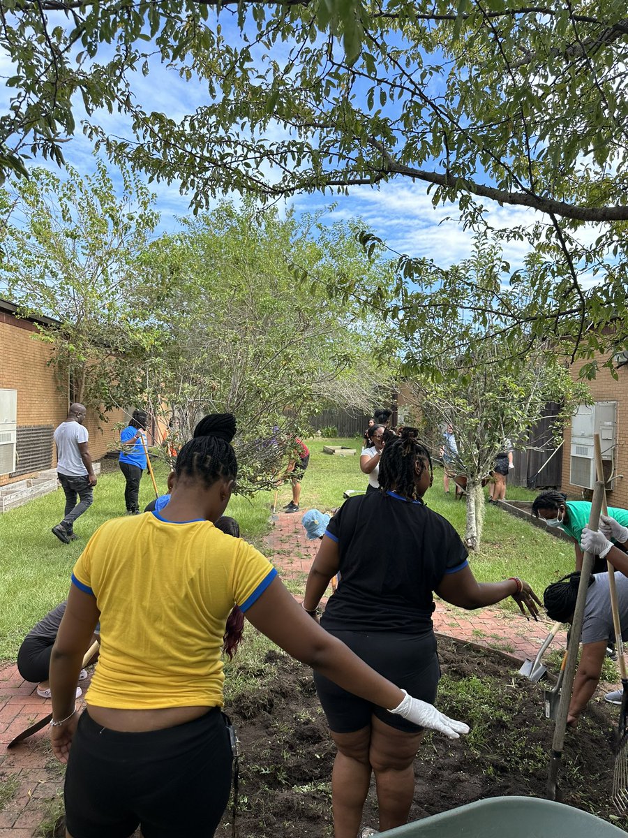 ShumanScholars's tweet image. The MAGIC🌈 continues @415❗️Garden Clean Up Day ‘23 was a huge success✅‼️ 1️⃣☎️That’s ALL.We 💚🤍 our village‼️Staff, students, parents, community partners-Scholars—fall planting 🥬 season  🥕 is here.Get ready for the 🍁outdoor adventures in our school garden. 🌶️ 
#Outdoorclass