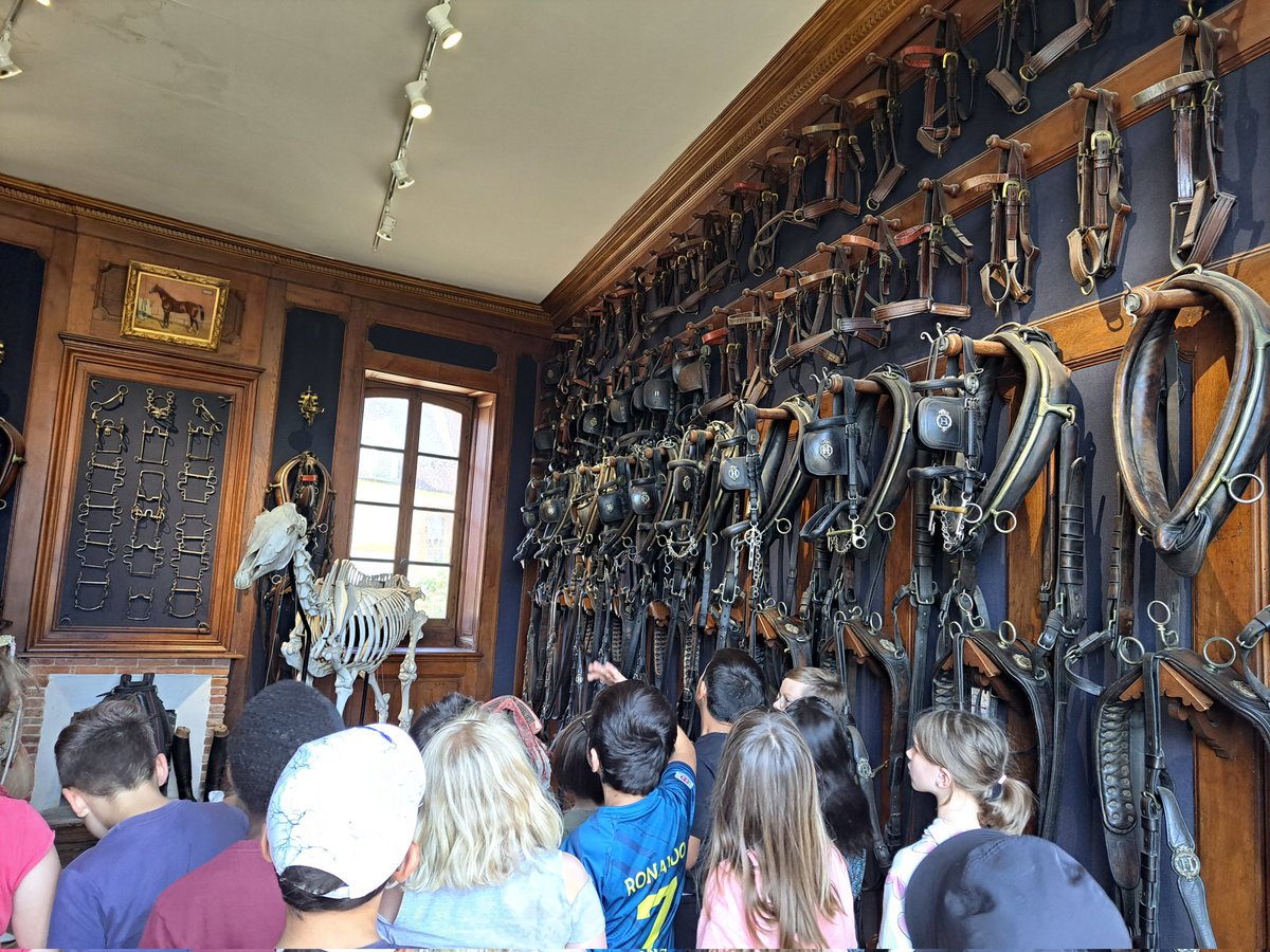ecole_rai's tweet photo. A l'occasion des journées du patrimoine, les élèves de CE2 CM1 se sont rendus au Haras du Pin pour découvrir notre patrimoine ornais. Un bon moyen de lancer le projet autour de la classe équitation. https://t.co/EJ0jqx70AV