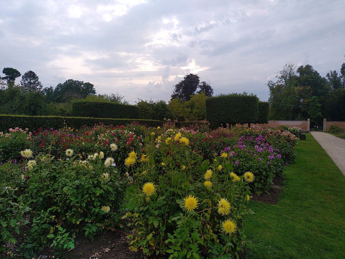De Dahliacollectie van Vordenstein staat er weer ongelooflijk mooi bij. Tot half oktober kan je er nog van komen genieten
