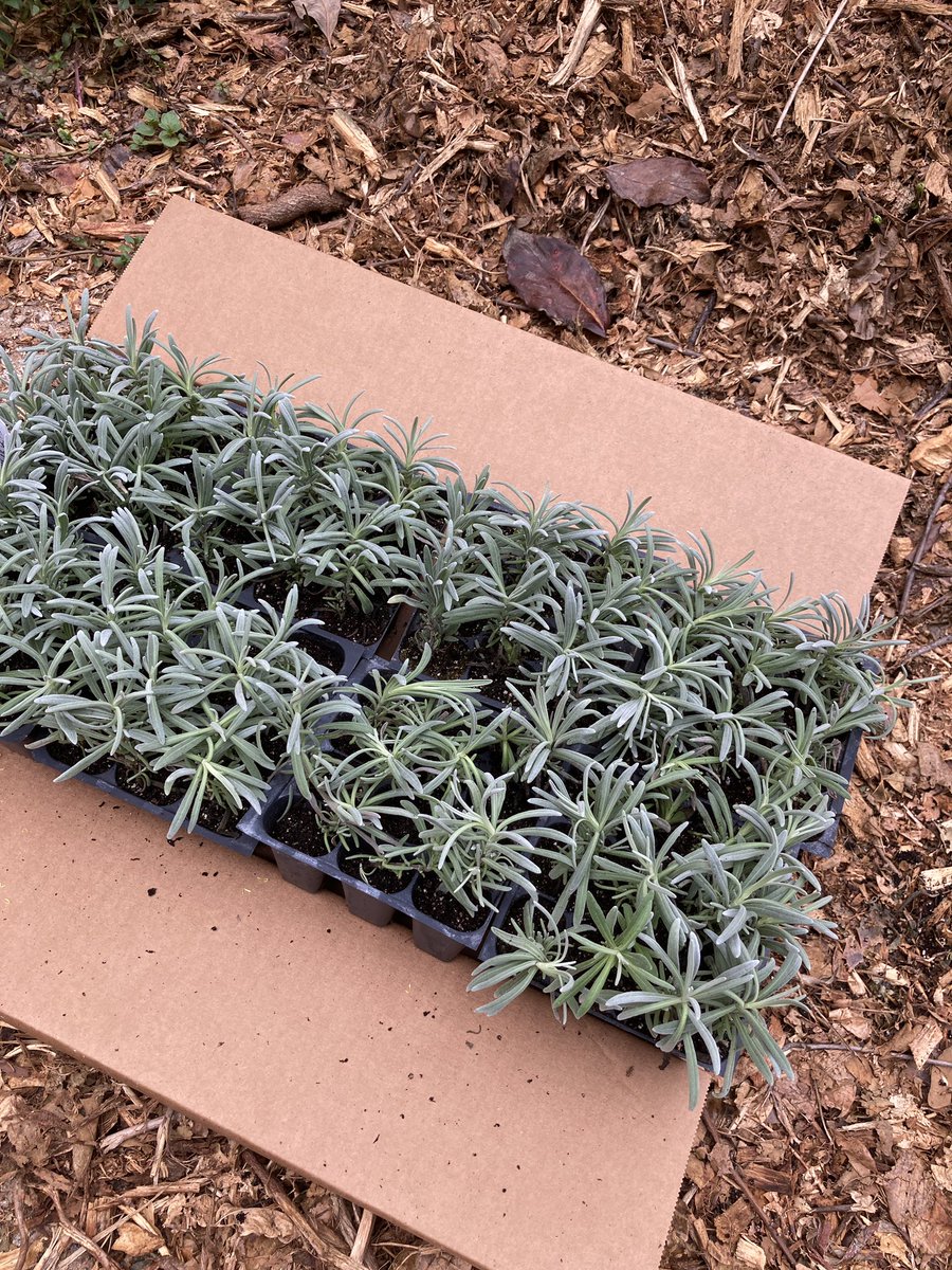 Yonder Farm tweet media