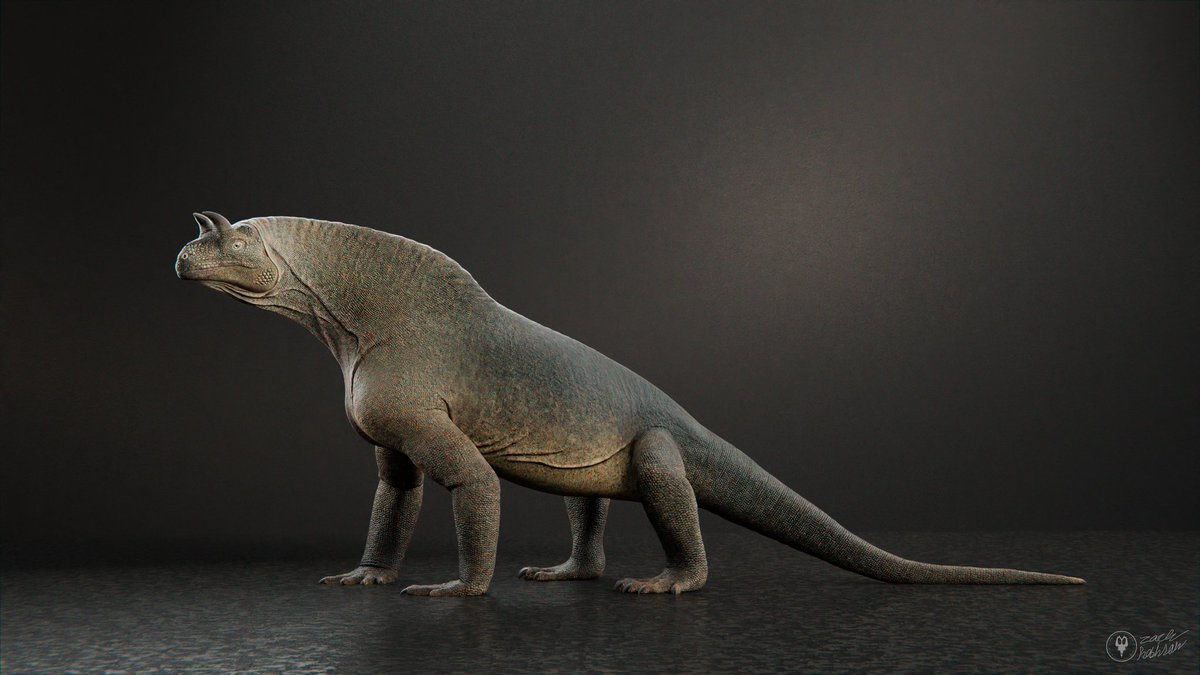 XtinctDesign's tweet photo. Here's the finished #shringasaurus! Along with a couple variants
#paleoart #blender3d #denwaformation https://t.co/qZZFraRLRh