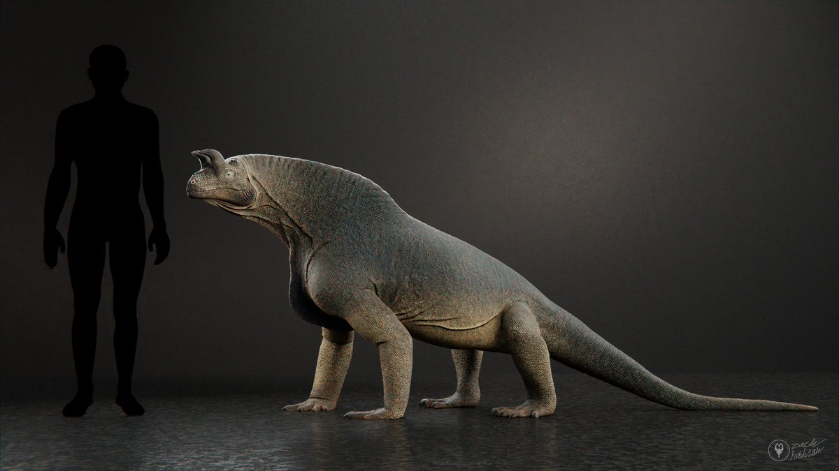 XtinctDesign's tweet photo. Here's the finished #shringasaurus! Along with a couple variants
#paleoart #blender3d #denwaformation https://t.co/qZZFraRLRh