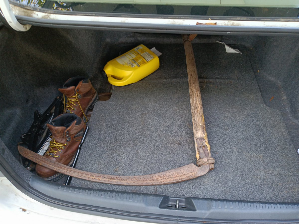 Jaz w/ one Z tweet media