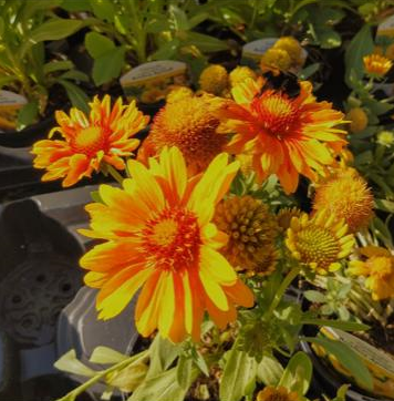 St Mary's Southwick tweet media