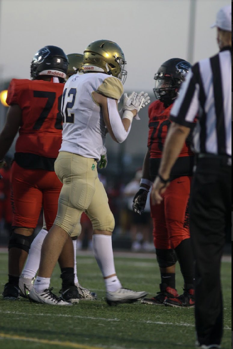 IRISH NIGHTMARE tweet media