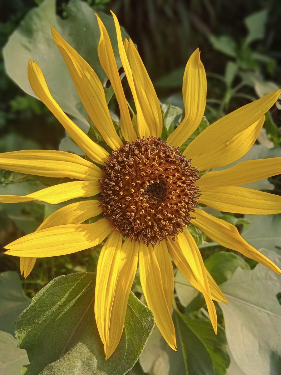 It's one of my favourites.📷 :