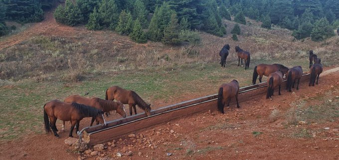 &Sigma;ή&mu;&epsilon;&rho;&alpha; &tau;&alpha; &pi;έ&tau;&upsilon;&chi;&alpha; &tau;&alpha; ά&lambda;&omicron;&gamma;&alpha; &Kappa;&alpha;&iota; &kappa;&omicron;&upsilon;&rho;&epsilon;ύ&tau;&eta;&kappa;&alpha; &kappa;&iota;ό&lambda;&alpha;&sigmaf; &epsilon;&chi;&theta;έ&sigmaf; https://t.co/6PaoIAk7Sj<a href="/tag/handmade"class="tags"><span>#handmade</span></a><a href="/tag/crochet"class="tags"><span>#crochet</span></a><a href="/tag/crocheting"class="tags"><span>#crocheting</span></a><a href="/tag/%CF%80%CE%BB%CE%AD%CE%BE%CE%B9%CE%BC%CE%BF"class="tags"><span>#&pi;&lambda;έ&xi;&iota;&mu;&omicron;</span></a><a href="/tag/%CF%80%CE%BB%CE%B5%CE%BE%CE%B9%CE%BC%CE%BF"class="tags"><span>#&pi;&lambda;&epsilon;&xi;&iota;&mu;&omicron;</span></a>