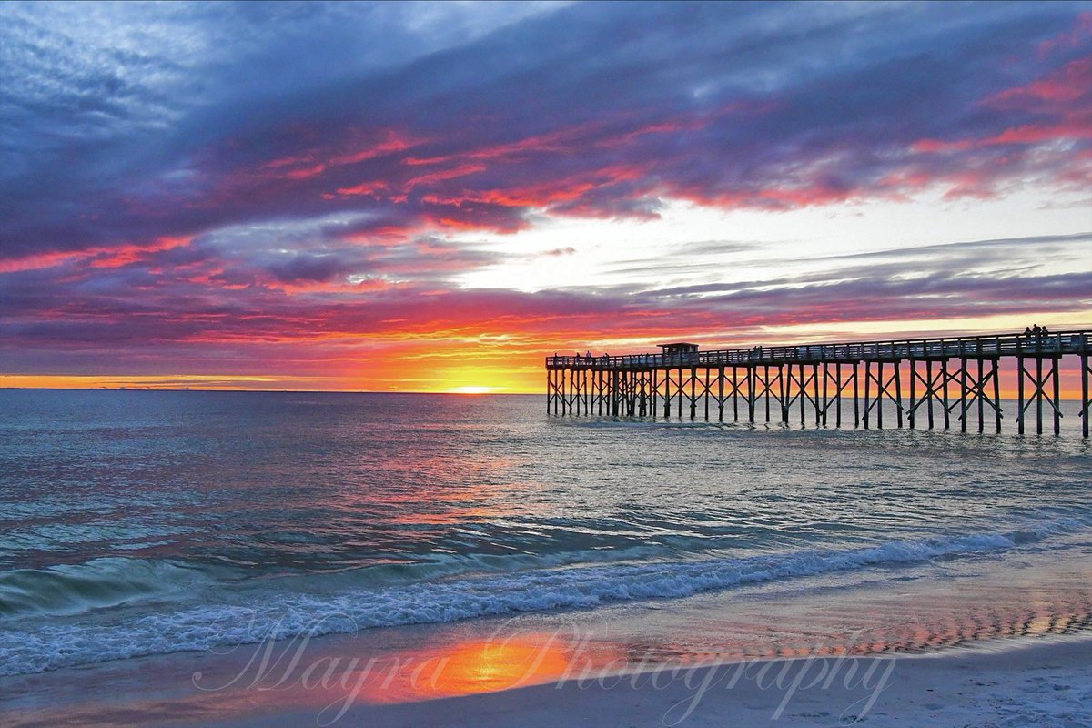 LePapillonBlu2's tweet image. It costs $0 to retweet my photography. Thank you. 💕