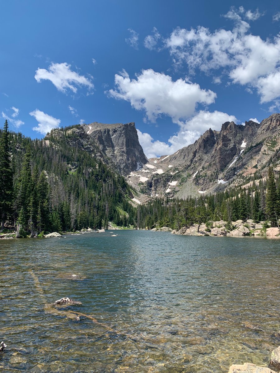 Elad David tweet media