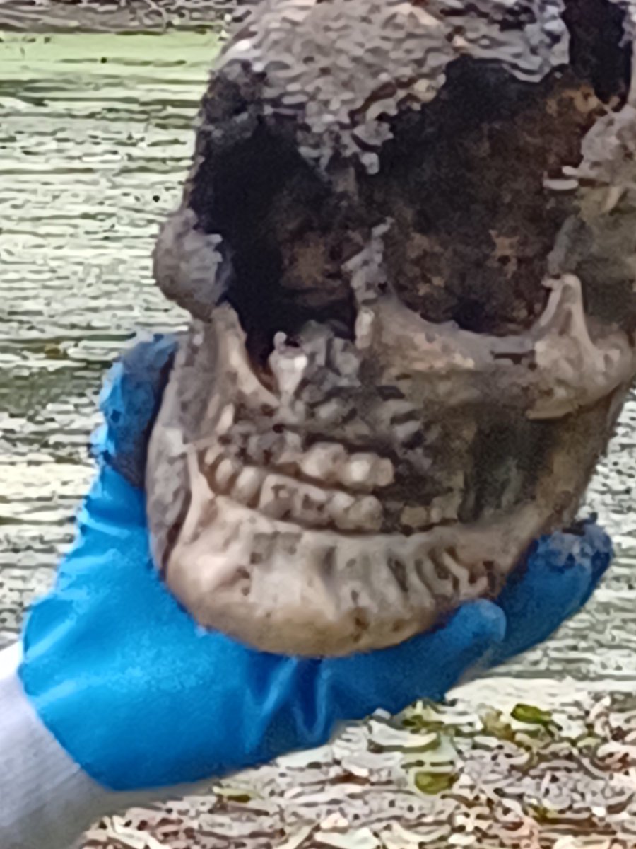Part of the NRC river cleanup day is an award for the largest object, the heaviest object, and the most bizarre object. This beauty took the award for most bizarre. We are still looking for the rest of him? Her?