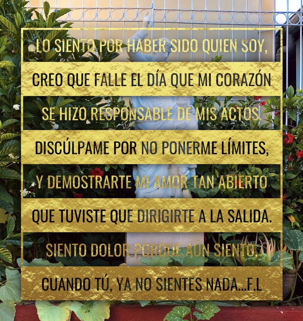 YoSoyFL_'s tweet photo. 🌞 https://t.co/sqBKxnooy0