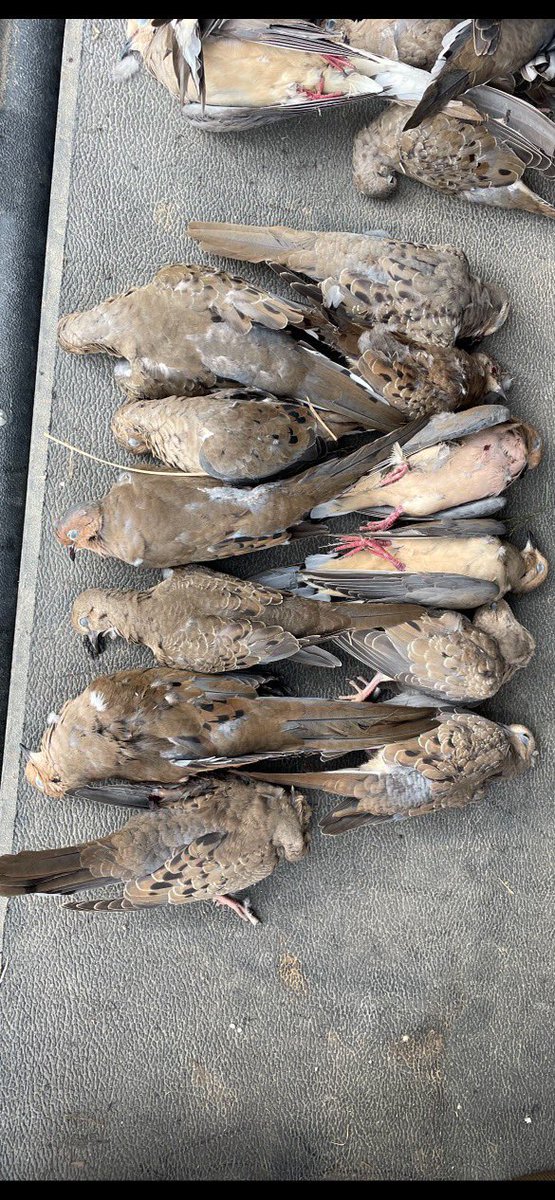 Mike Richardson tweet media