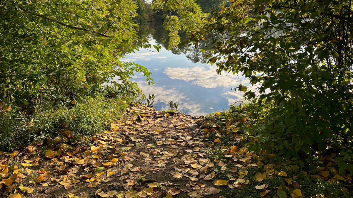 klawrenc's tweet photo. River's edge. #SpeedRiver #Guelph https://t.co/pYGszVJ6Sk