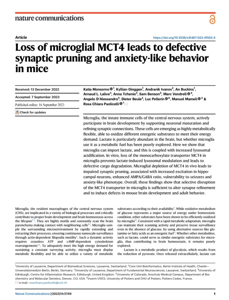 Happy to share our latest work on #microglia, #MCT4 and #lactate, finally online @NatureComms. Read the entire story here: rdcu.be/dmidK. Kudos to all the collaborators and to the brilliant @KatiaMonsorno!!! 🎉 @FBM_UNIL @SocialDSB_UNIL