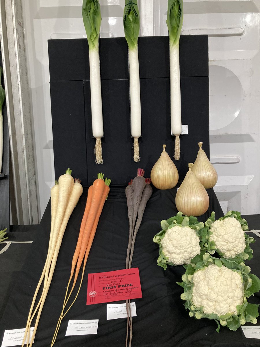 Martin Fish (@martinfishhort) on Twitter photo Another busy day at the <a href="/HarrogateFlower/">HarrogateFlowerShow</a> at <a href="/NewbyHallGarden/">Newby Hall Garden</a> and managed to look around the fruit & vegetable marquee on the way out. Some amazing produce and a new World record for the heaviest onion at 8.97 kg - over 9lb in old money!
#fruitandveg #growyourownfood #showveg Another busy day at the <a href="/HarrogateFlower/">HarrogateFlowerShow</a> at <a href="/NewbyHallGarden/">Newby Hall Garden</a> and managed to look around the fruit & vegetable marquee on the way out. Some amazing produce and a new World record for the heaviest onion at 8.97 kg - over 9lb in old money!
#fruitandveg #growyourownfood #showveg