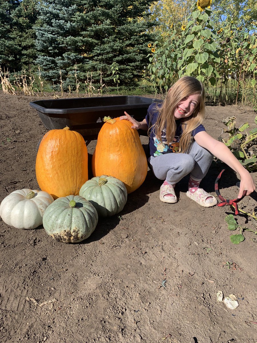 Good year for these!