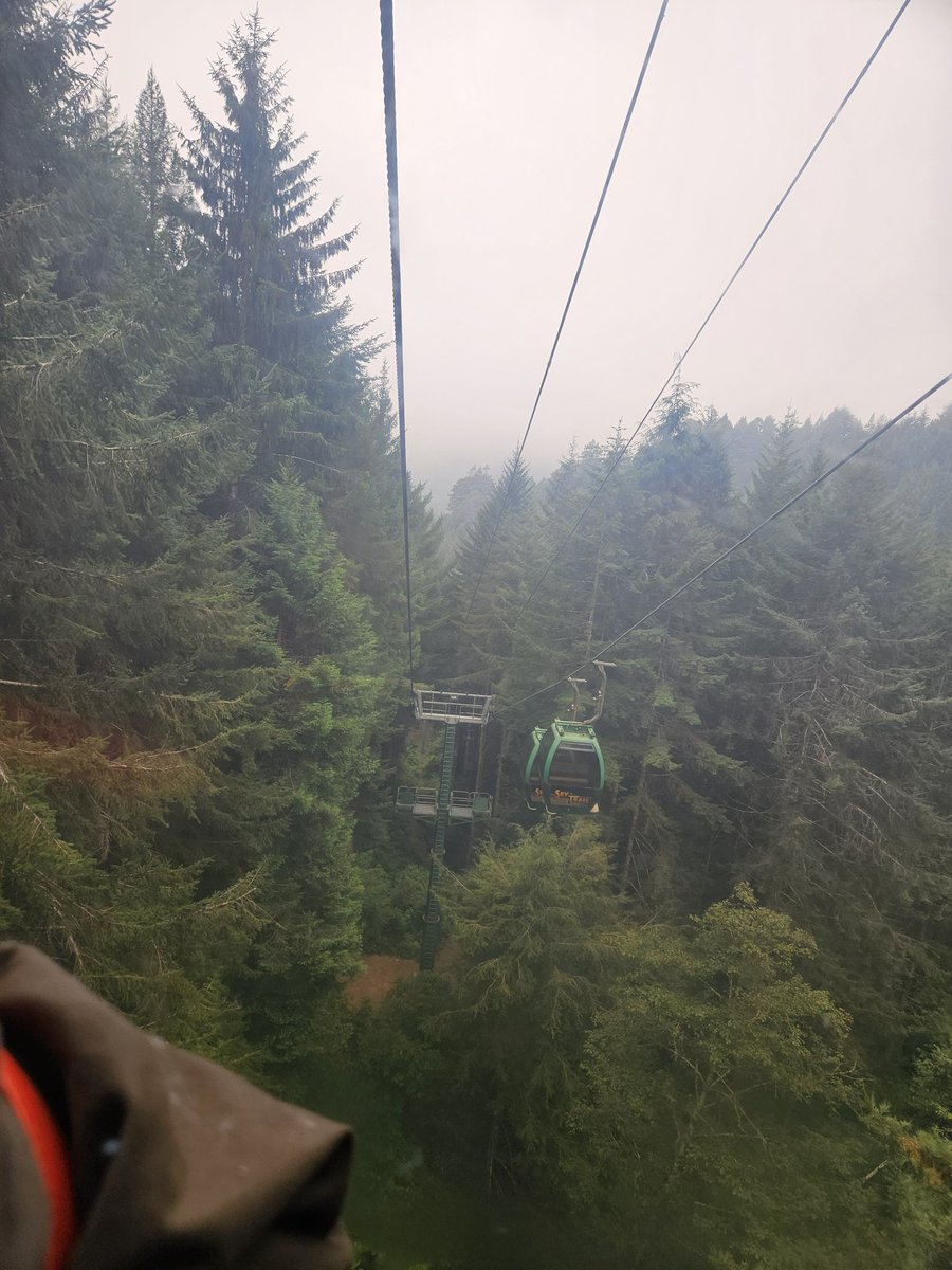 ishiratsubasa's tweet photo. The small human and I went on an Ingress adventure yesterday up to the trees of mystery! We went so that I could brave terrifying things to claim a portal I've never gotten before. Small human tested my bravery and well, we got the portal! #ingress #realgameplay @ingress https://t.co/zRQdJbFAmy