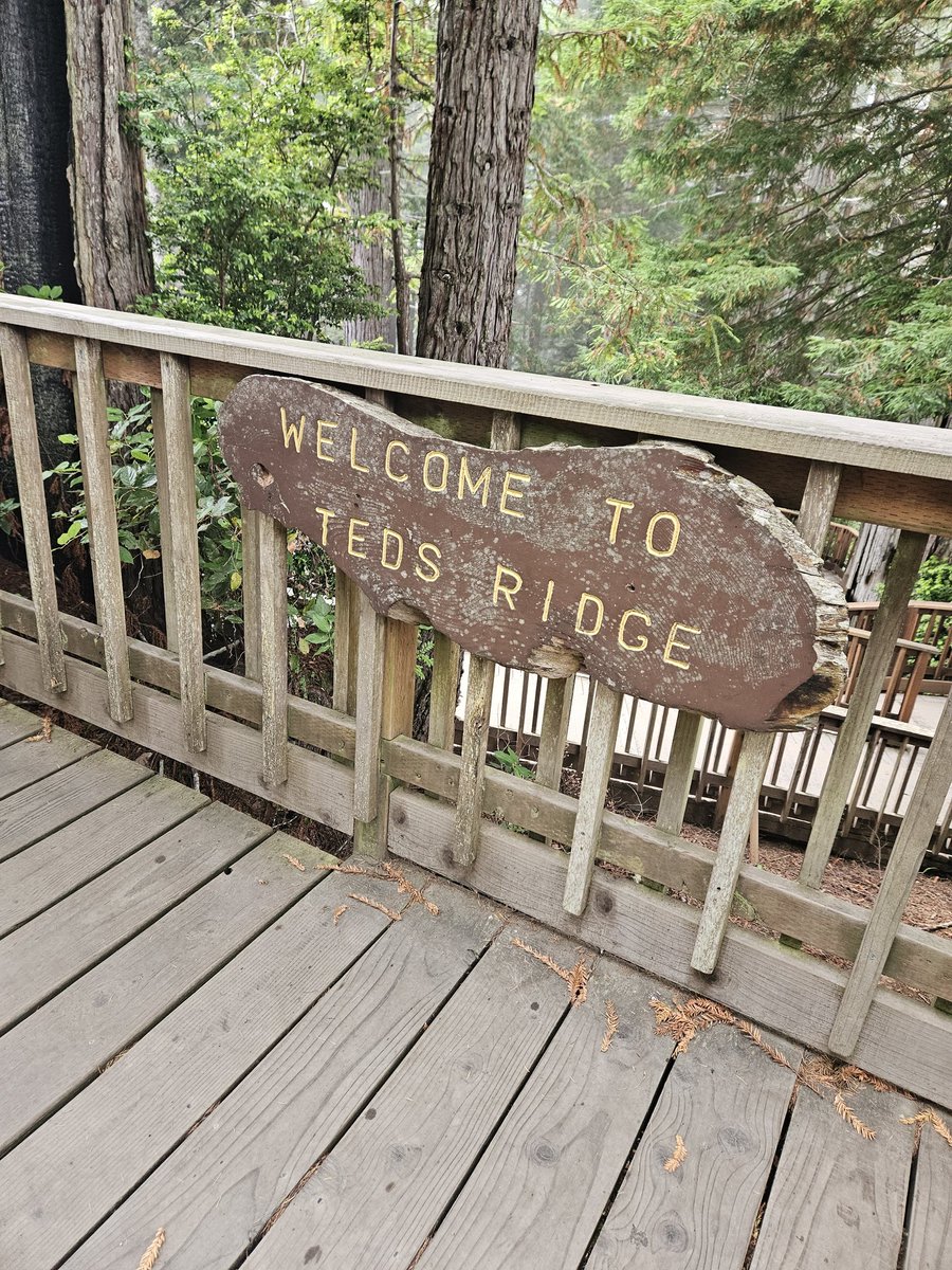 ishiratsubasa's tweet photo. The small human and I went on an Ingress adventure yesterday up to the trees of mystery! We went so that I could brave terrifying things to claim a portal I've never gotten before. Small human tested my bravery and well, we got the portal! #ingress #realgameplay @ingress https://t.co/zRQdJbFAmy