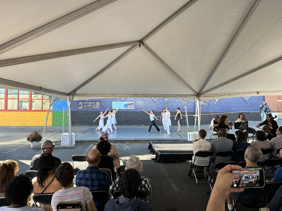 kelsey mesher tweet media