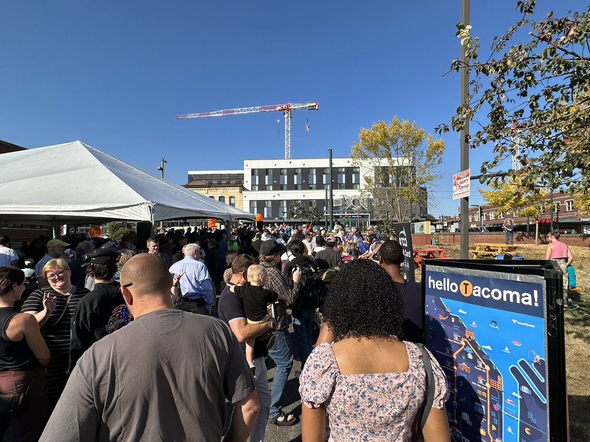 kelsey mesher tweet media