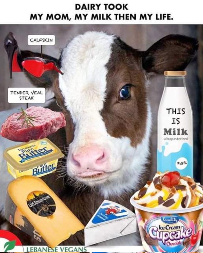 tHiS iS mILK