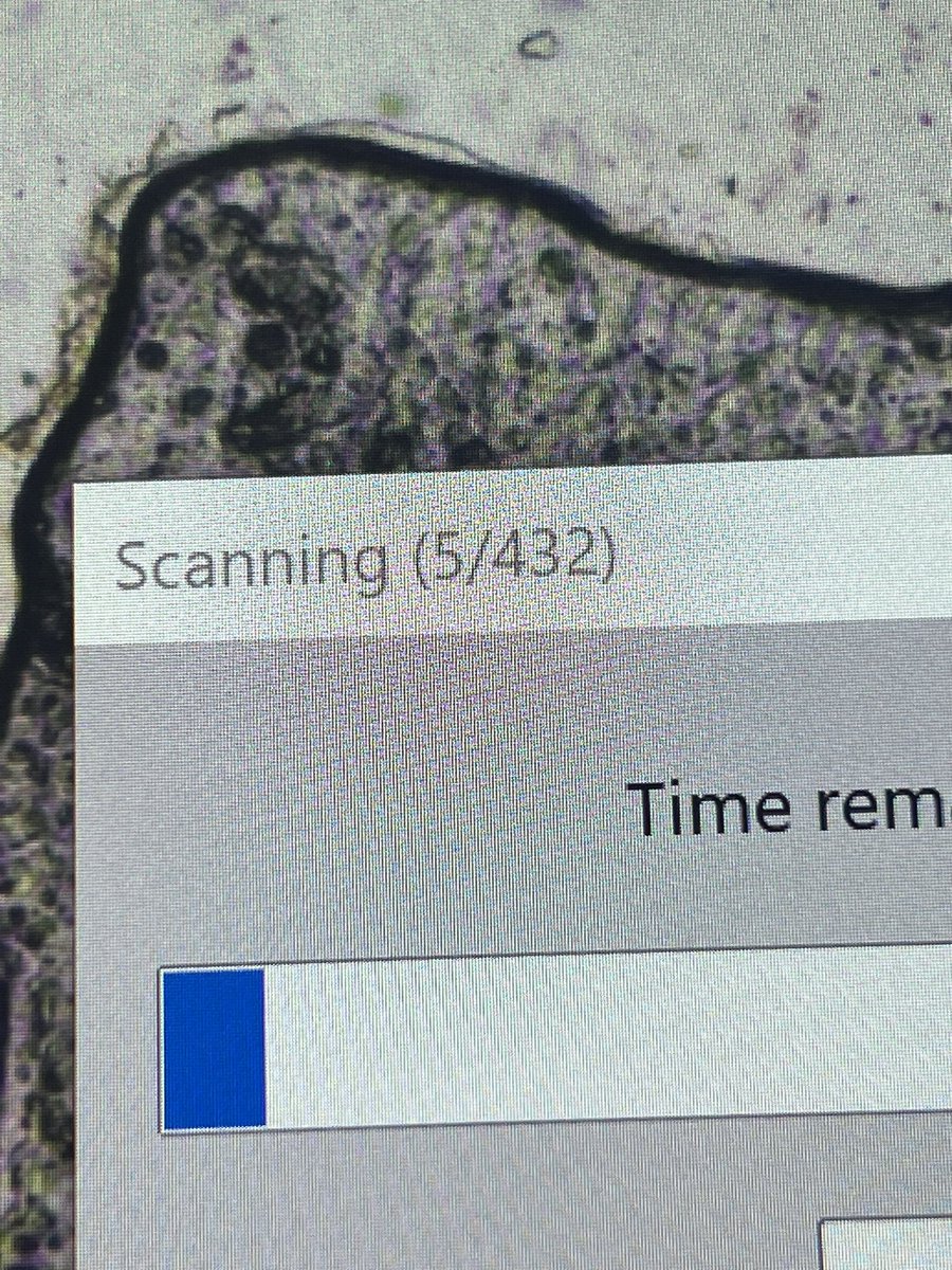 Erika R Goldsmith tweet media