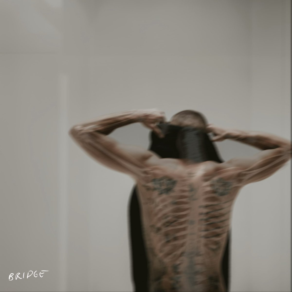 “ANIMAL”  EP//008