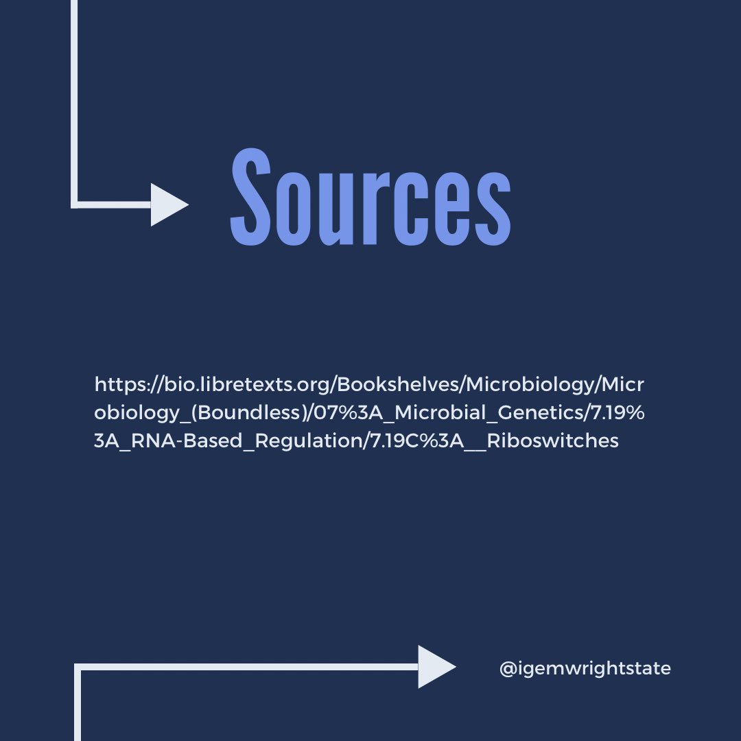 Have you ever heard of a riboswitch?🧐
If you haven’t and want to learn more this #SynbioSaturdays post is just for you!