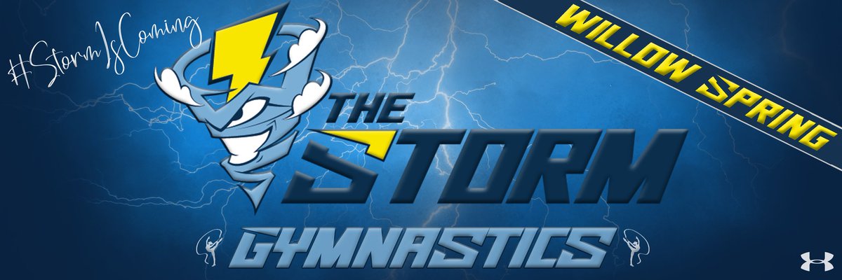 Willow Spring Gymnastics tweet media