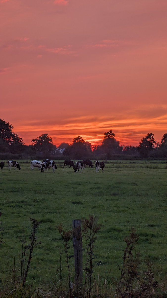 Martijn Kleingeerts tweet media