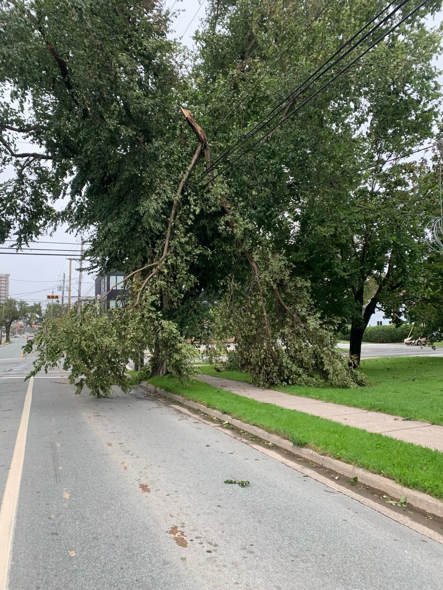 nspowerinc's tweet photo. As we continue to see high winds today, we wanted to share some important safety reminders:
⚠️Do not attempt to handle downed powerlines—they should be treated as live or energized.

⚠️Be aware of trees touching or tangled up in overhead lines—don’t attempt to cut them down yourself.

⚠️Keep a safe distance from crews working—don’t  
 walk through or near the work site because it can be dangerous.

⚠️Stay off the road unless necessary—traffic could create more hazards to our crews and others responding to the storm and delay restoration efforts.