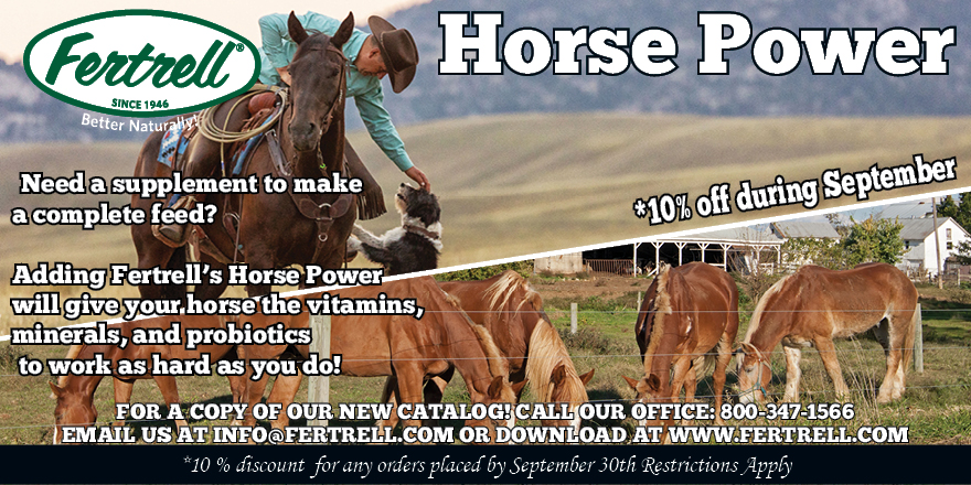 FertrellCompany's tweet photo. 🐴🌾 Looking for the perfect supplement to boost your horse's performance? Look no further! 🌟 Introducing Fertrell's Horse Power, the ultimate addition to your horse's feed! 🏇💪 For the entire month of September, we're offering an amazing 10% off on all Horse Power purchases! https://t.co/HtB3G96HSO