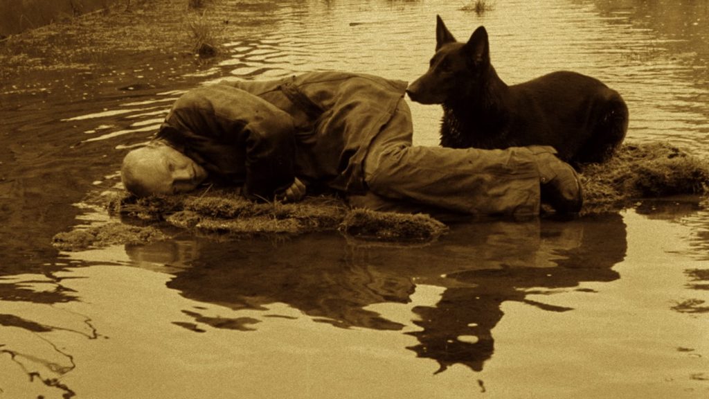 DannyDrinksWine's tweet photo. Tarkovsky's diaries:

(16th September. 1979)

"Tired as a dog, tired as a son of a bit*h! Can hardly stand."